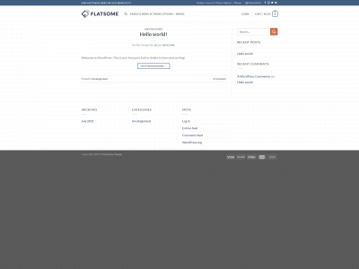 artiecamo.com snapshot