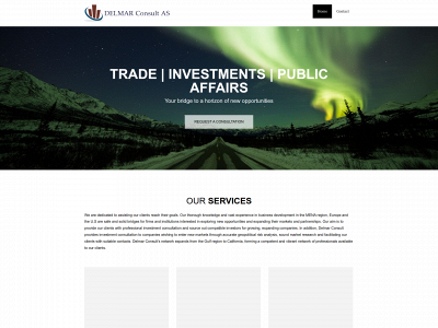 delmarconsult.com snapshot
