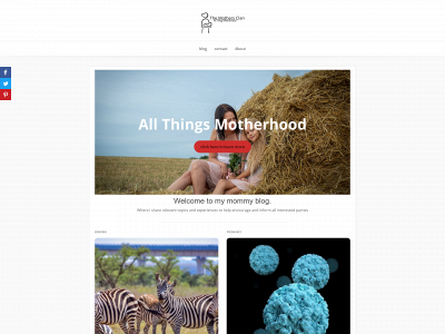 themothersclan.com snapshot