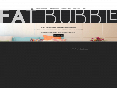 www.fatbubblecleaning.ca snapshot