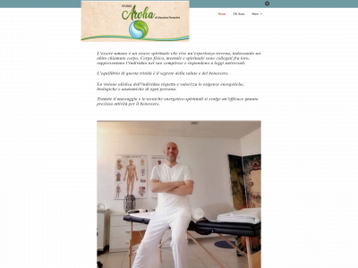 studioaroha.ch snapshot
