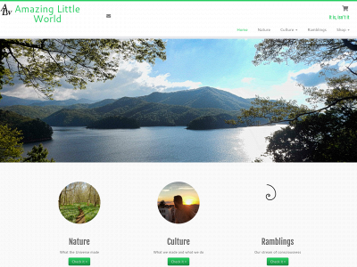 amazinglittleworld.com snapshot