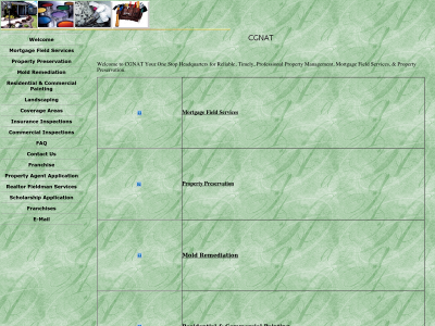 cgnat.com snapshot