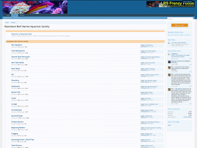 razorbackreef.com snapshot