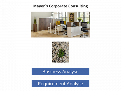 mayerscorpconsult.com snapshot