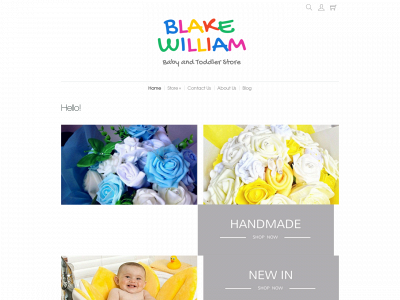 blakewilliam.co.uk snapshot