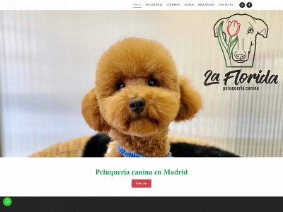 lafloridapelucanina.es snapshot