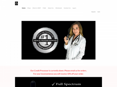 www.zs-dream.com snapshot