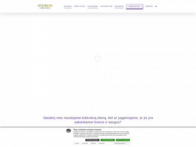 dusofiltrai.lt snapshot