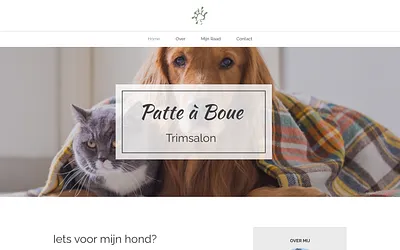 patte-a-boue.be snapshot