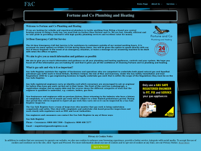 fortuneandcoplumbingandheating.com snapshot