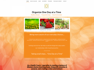 organizeonedayatatime.com snapshot