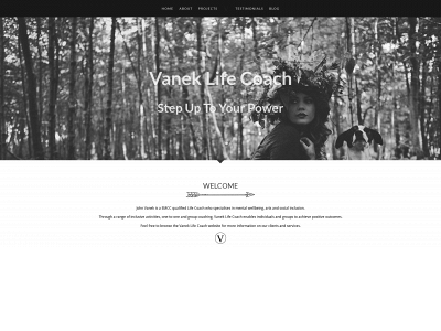 vaneklifecoach.com snapshot