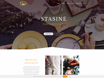 stasine.com snapshot