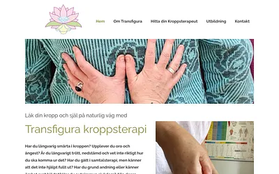 transfigura.se snapshot