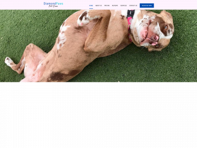 alldiamondpaws.com snapshot