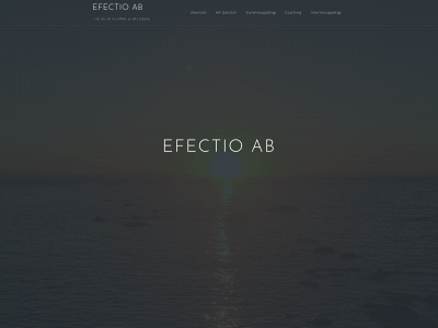 efectioab.se snapshot