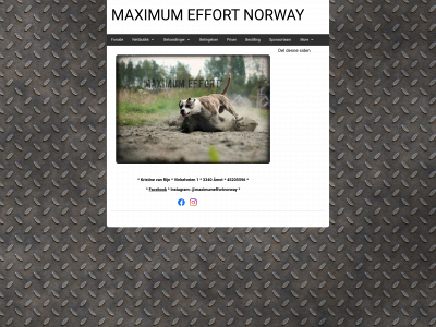 maximumeffortk9.com snapshot