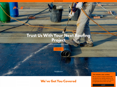 proserveconstruction.com snapshot
