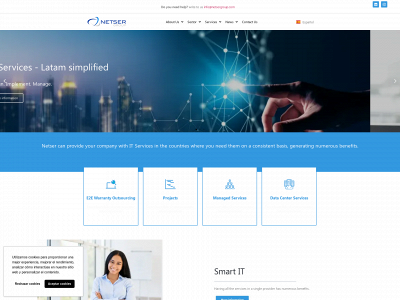 netsergroup.com snapshot