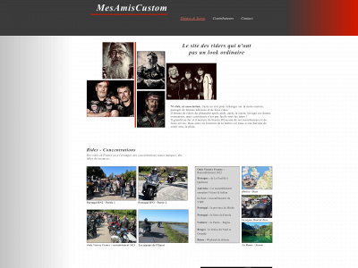 mesamiscustom.fr snapshot