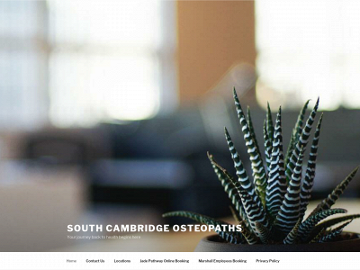 southcambridgeosteopaths.com snapshot