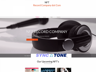 nftrecordcompany.com snapshot