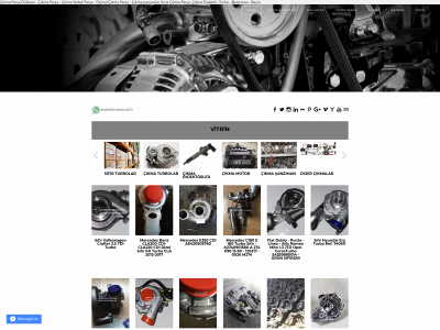 www.ikincielparcaci.com snapshot