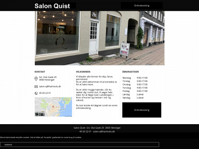 salonquist.dk snapshot