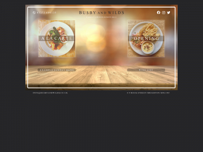 busbyandwilds.co.uk snapshot