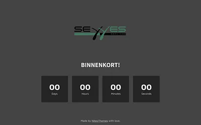seyyes.nl snapshot