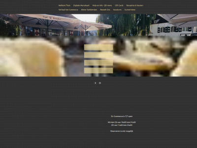 gezelligstecafevanlier.be snapshot