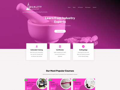 thequalitycatalyst.com snapshot