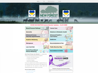 newforestpcn.co.uk snapshot