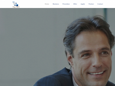 ringocapital.com snapshot