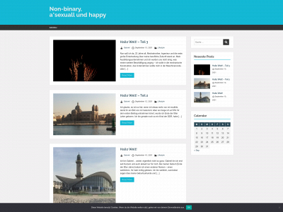 nicht-binaer.com snapshot
