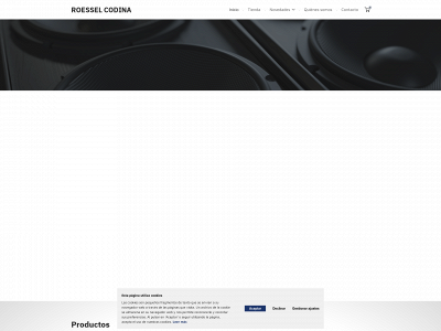 roesselcodina.es snapshot