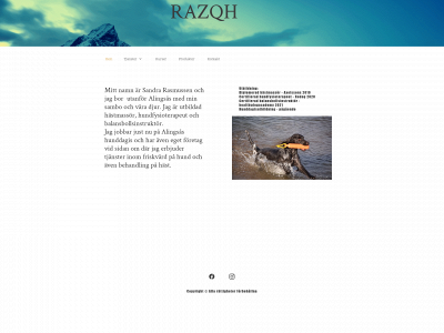 razqh.se snapshot