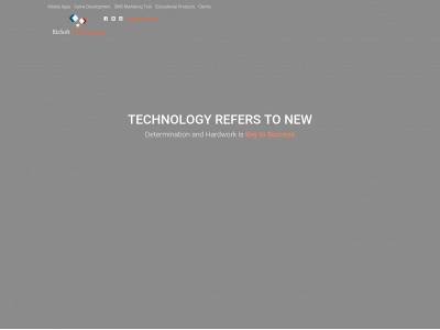 bizsoftech.com snapshot