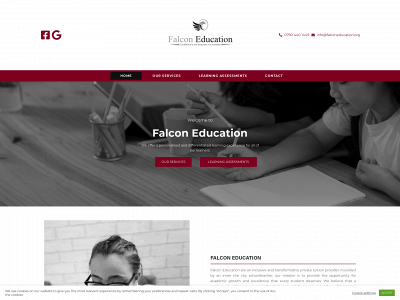 falconeducation.co.uk snapshot