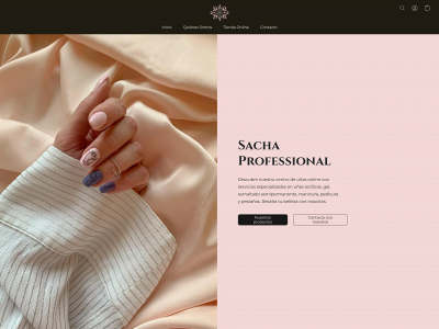 sachaprofessional.com snapshot