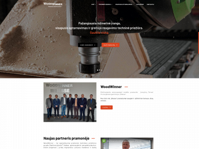 woodwinner.lt snapshot