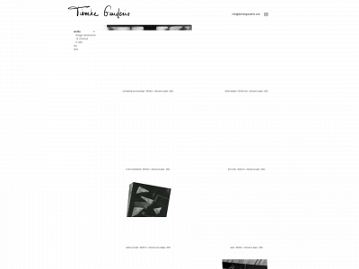 tiemkegauderis.com snapshot