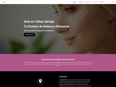 nolapeluqueria.com snapshot