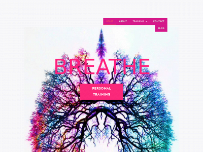 breathetraining.co.uk snapshot