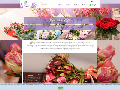 efloragdansk.pl snapshot