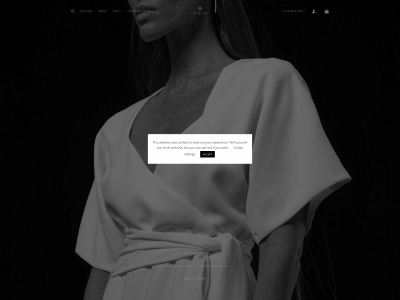 vielaclothing.com snapshot