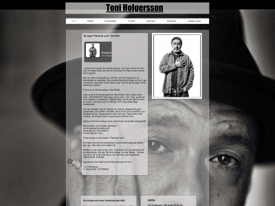 toniholgersson.com snapshot