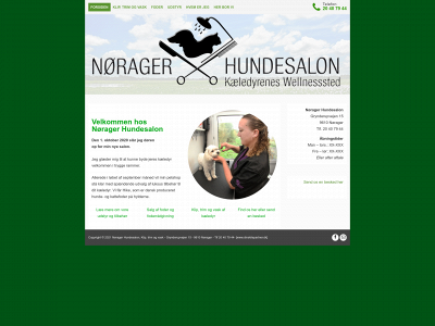 nøragerhundesalon.dk snapshot