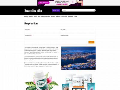scandicsite.com snapshot